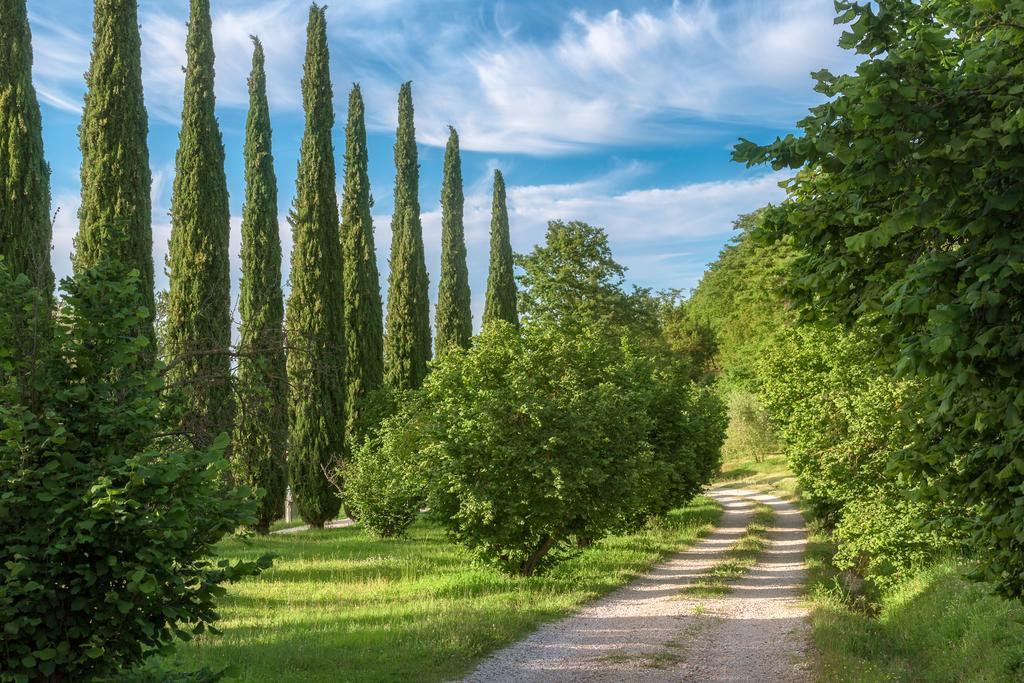 Fattoria Di Vibio 호텔 몬테 카스텔로 디 비비오 외부 사진